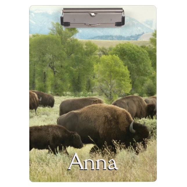 Carpeta De Pinza Bisonte de Wyoming (Anverso)