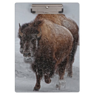 Carpeta De Pinza Bisonte de Yellowstone