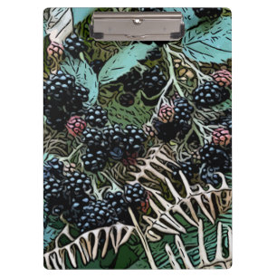 Carpeta De Pinza Blackberries en la vid