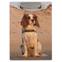 Carpeta De Pinza Blenheim Cavalier King Charles Spaniel Dog