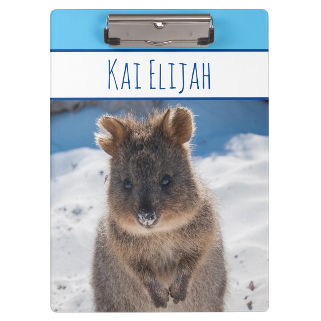 Carpeta De Pinza Blue Boys Custom Name Quokka en la playa (Anverso)