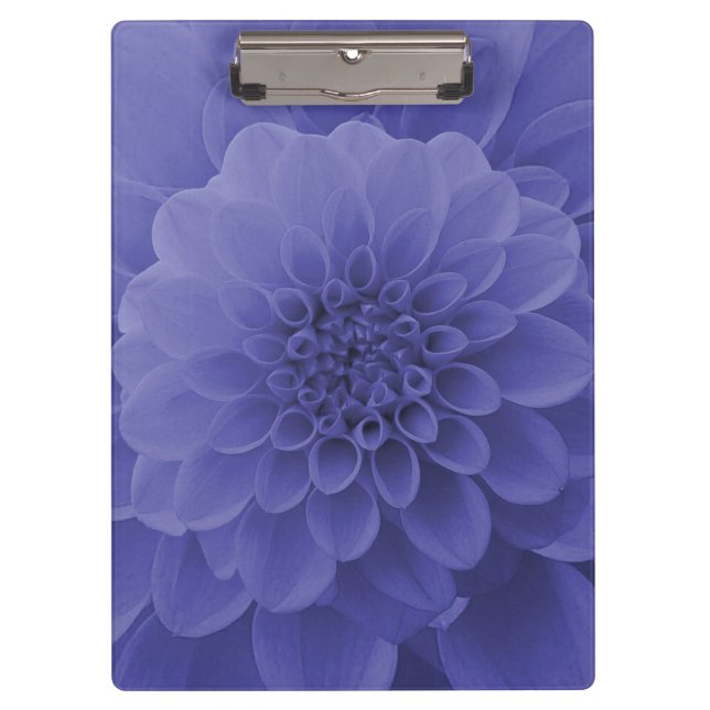Carpeta De Pinza Blue Dahlia (Anverso)