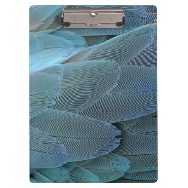Carpeta De Pinza Blue Feather (Anverso)