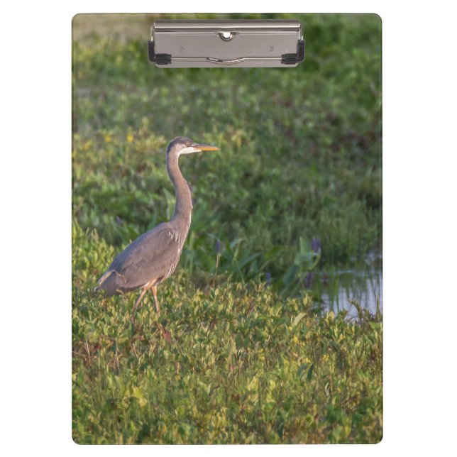 Carpeta De Pinza Blue Heron (Anverso)