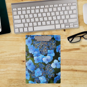 Carpeta De Pinza Blue Lacecap Hydrangea Floral