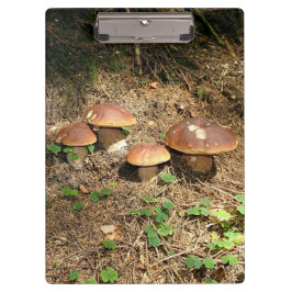 Carpeta De Pinza boletus