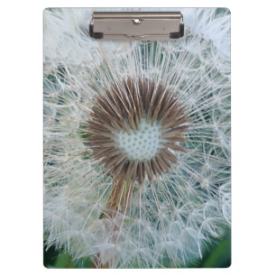 Carpeta De Pinza Bonito Dandelion blanco