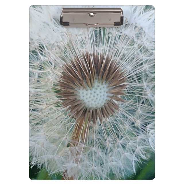 Carpeta De Pinza Bonito Dandelion blanco (Anverso)