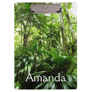 Carpeta De Pinza Bosque lluvioso dominicano I Naturaleza tropical v