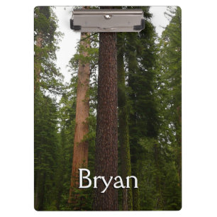 Carpeta De Pinza Bosque Mariposa en el Parque Nacional Yosemite