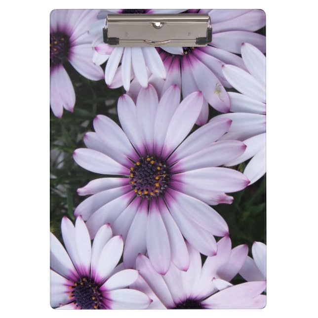 Carpeta De Pinza Bouquet de flores moradas claras (Anverso)