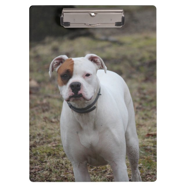 Carpeta De Pinza Boxeador (Anverso)