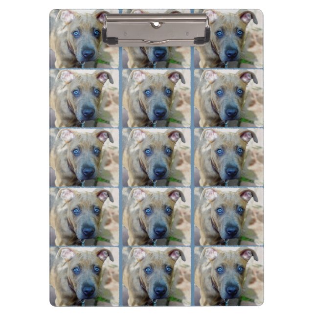 Carpeta De Pinza Brindle Pit Bull con una foto de Shirley Taylor (Anverso)