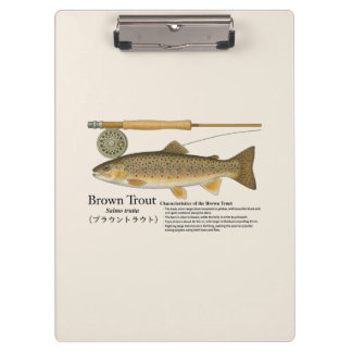 Carpeta De Pinza Brown Trout Fly Fishing Illustration Clipboard