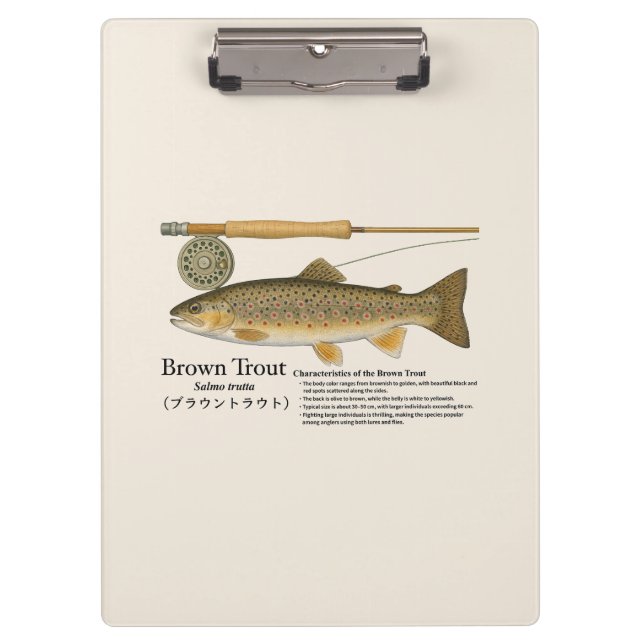 Carpeta De Pinza Brown Trout Fly Fishing Illustration Clipboard (Anverso)