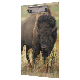 Carpeta De Pinza Búfalo