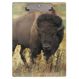 Carpeta De Pinza Búfalo