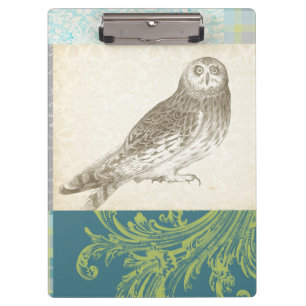 Carpeta De Pinza Búho gris en fondo del modelo