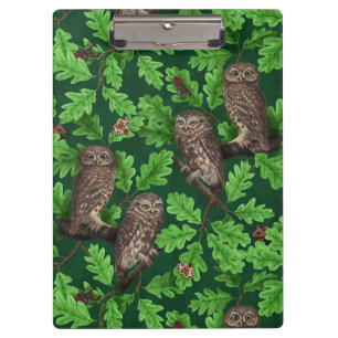 Carpeta De Pinza Búhos en el bosque sobre verde oscuro