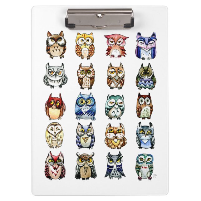 Carpeta De Pinza Búhos y gato de la acuarela del arco iris (Anverso)