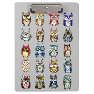 Carpeta De Pinza Búhos y gato de la acuarela del arco iris