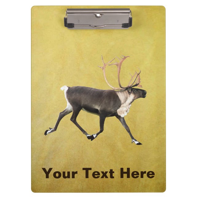 Carpeta De Pinza Bull Caribou (Anverso)