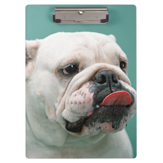 Carpeta De Pinza Bulldog (Anverso)