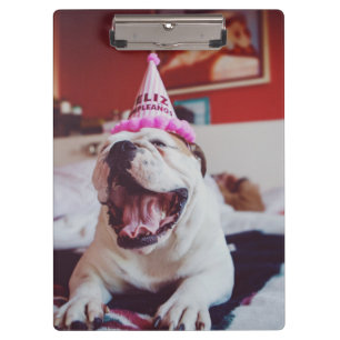 Carpeta De Pinza Bulldog británico de las imágenes el   de Getty