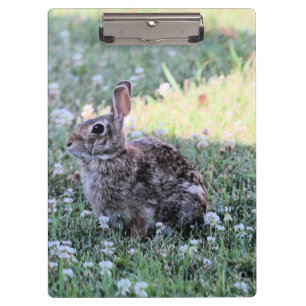 Carpeta De Pinza Bunny