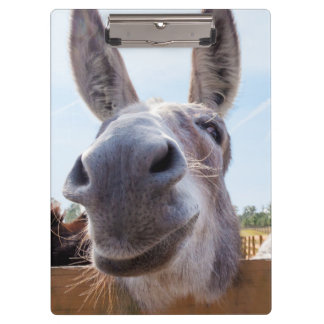 Carpeta De Pinza Burro sonriente