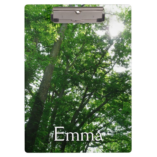 Carpeta De Pinza Buscando árboles de verano (Anverso)