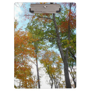 Carpeta De Pinza Buscando hojas de otoño en colorido follaje otoñal