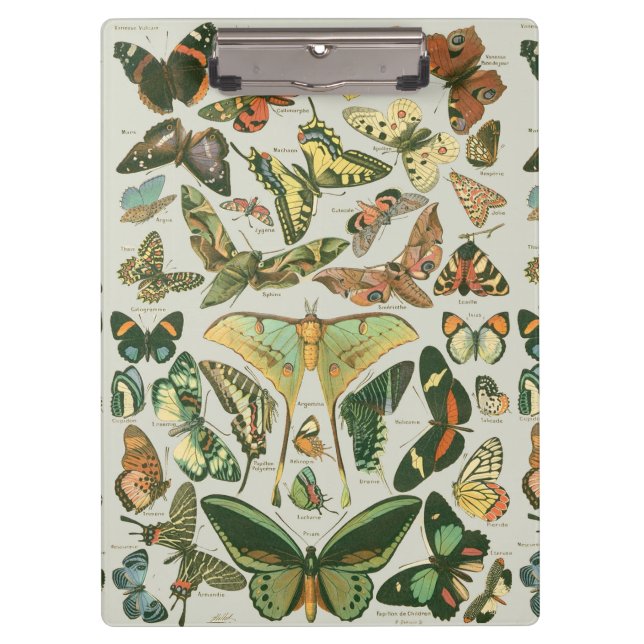 Carpeta De Pinza Butterfly Vintage Antiguo Butterflies Art (Anverso)