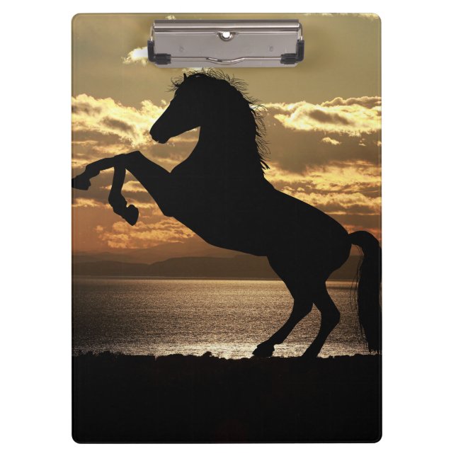 Carpeta De Pinza caballo (Anverso)