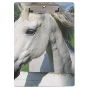 Carpeta De Pinza Caballo blanco