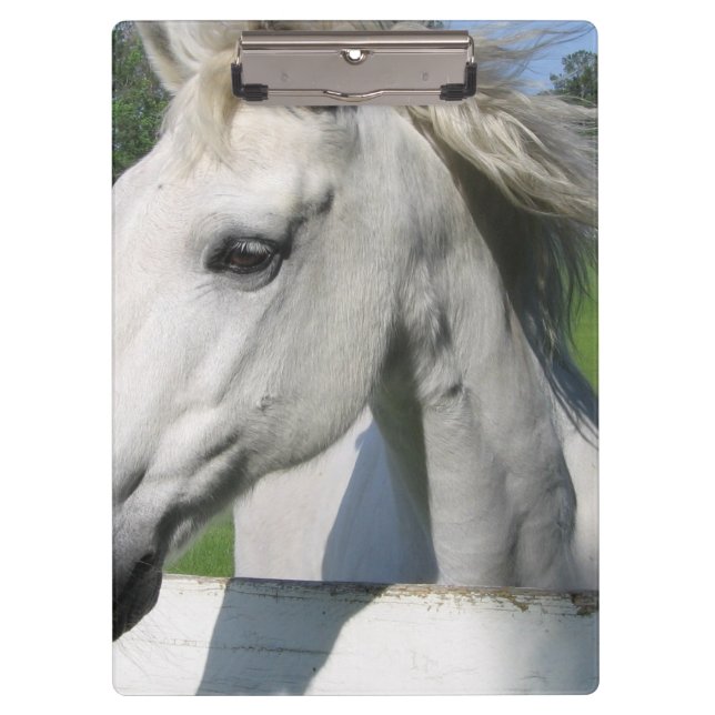 Carpeta De Pinza Caballo blanco (Anverso)