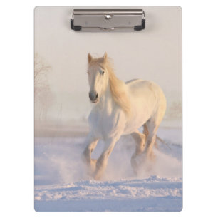 Carpeta De Pinza caballo blanco en la nieve