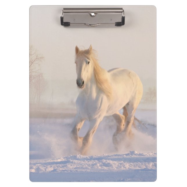 Carpeta De Pinza caballo blanco en la nieve (Anverso)