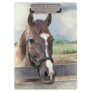 Carpeta De Pinza Caballo de Brown con el halter