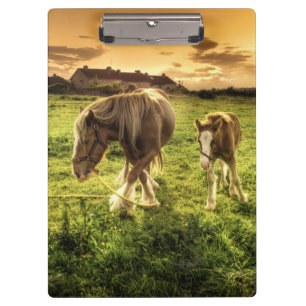 Carpeta De Pinza Caballo de la madre y del potro
