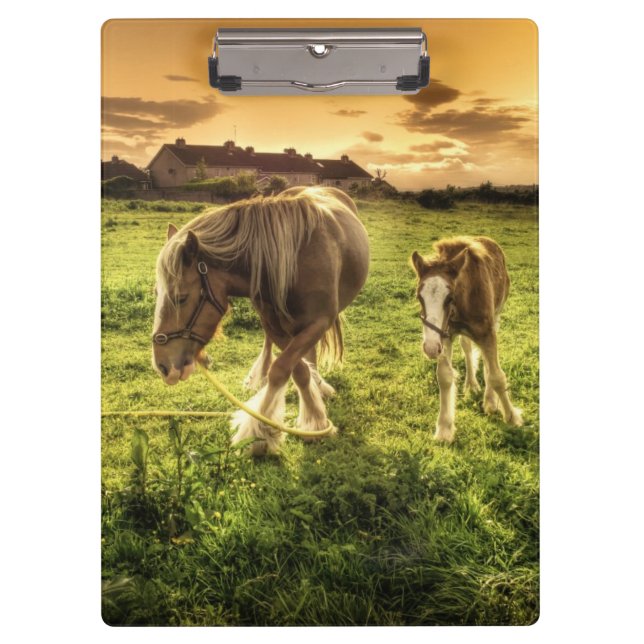 Carpeta De Pinza Caballo de la madre y del potro (Anverso)