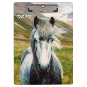 Carpeta De Pinza Caballo gris salvaje