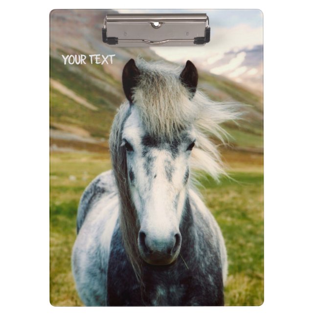 Carpeta De Pinza Caballo gris salvaje (Anverso)