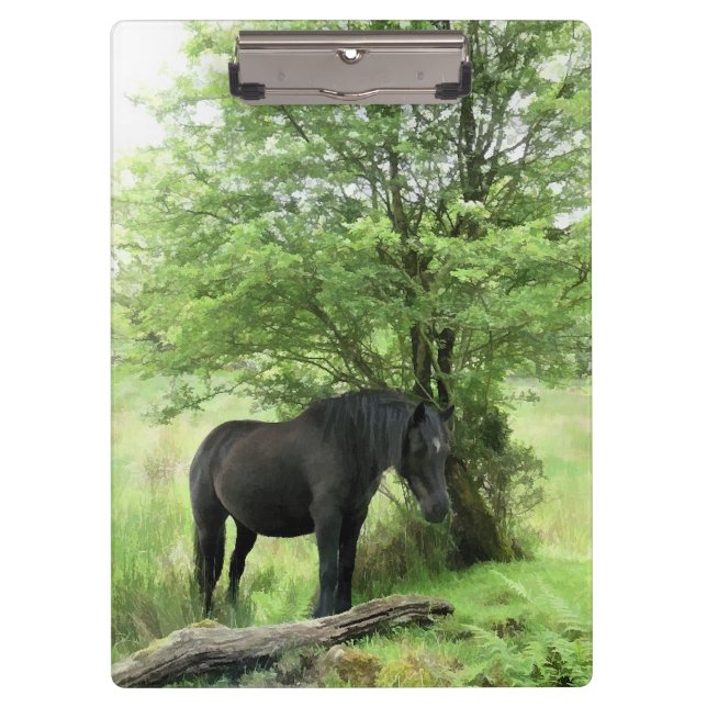 CARPETA DE PINZA CABALLO NEGRO (Anverso)