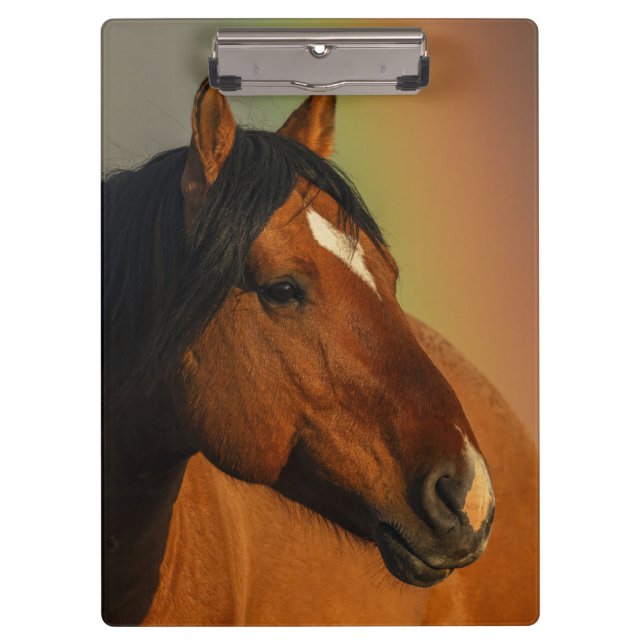 Carpeta De Pinza Caballo salvaje, luz dorada y arcoíris (Anverso)