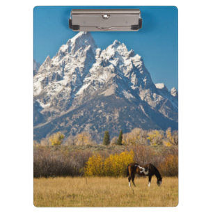 Carpeta De Pinza Caballo y Grand Tetons, Rancho Moose Head