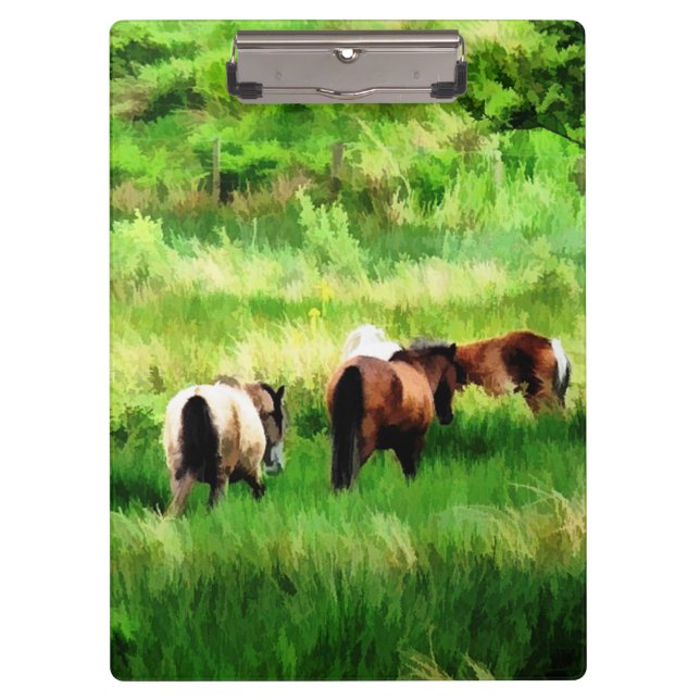 CARPETA DE PINZA CABALLOS (Anverso)