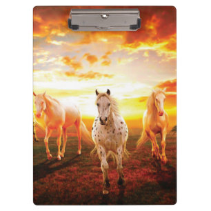 Carpeta De Pinza Caballos al atardecer lanzando almohada