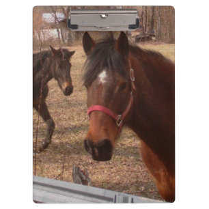 Carpeta De Pinza Caballos de Brown