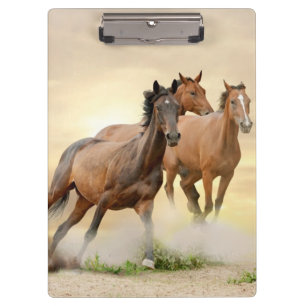 Carpeta De Pinza Caballos en puesta del sol